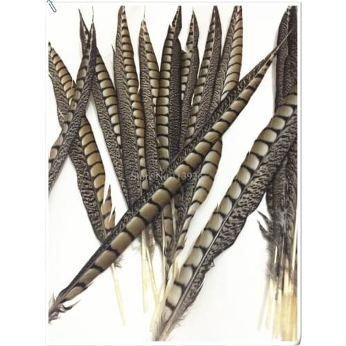500PCS/lot Natural Pheasant Feather 50-55cm Venery Pheasant Tail feathers For wedding/party decoration stage peformance dresses