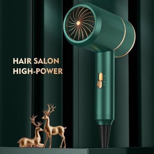 220V Hair Dryer Household Heating Cooling Air Hair Dryer home Appliances High Power Blue Light Anion anti-static Modeling tools