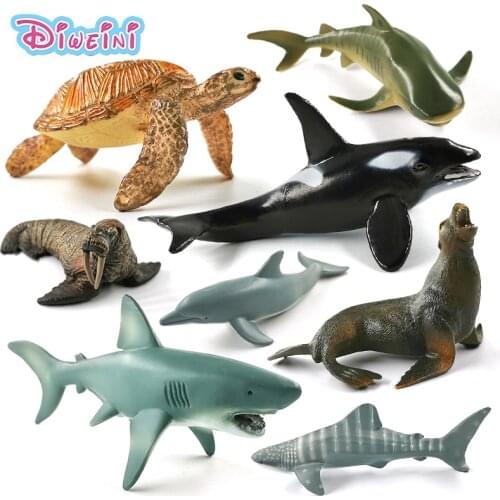 Killer Whale Tiger Shark Walrus Sea Lion Turtle Dolphin Aquarium Animal Model Action Figure Figurine Doll House Education Toy