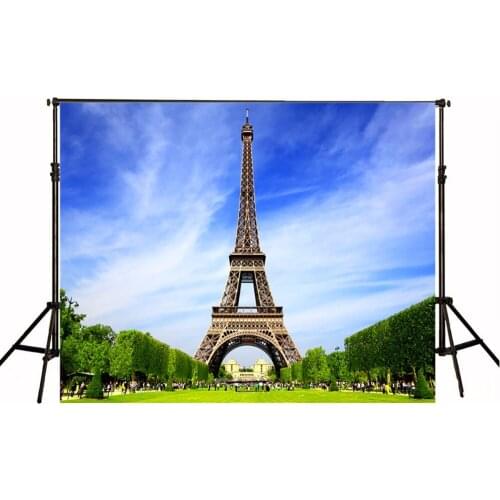 VinylBDS Eiffel Tower Photography Backgrounds Bule Sky Photo Backdrops Wedding Grassland Wedding Photography Backdrops