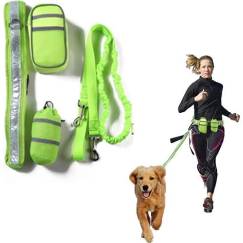 Украшения для животных Hokerbat China At AliExpress