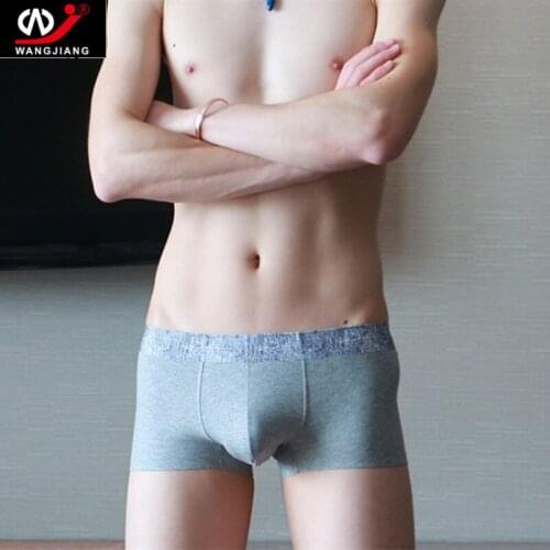 Cotton Sexy Mens Boxer Breathable Mens Shorts Boxers Homme Cuecas Masculina Homewear Fashion Mens Casual Underpants 2pcs/lot