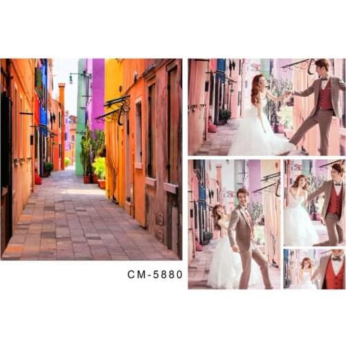 VinylBDS Photography Backdrop Road Building Stone Alleys Studio Props Photography Wedding Background