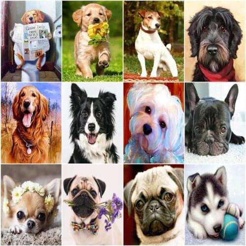 GATYZTORY Oil Painting By Numbers Dog Animals HandPainted Kits Drawing Canvas Pictures Home Decoration DIY Gift 40×50cm