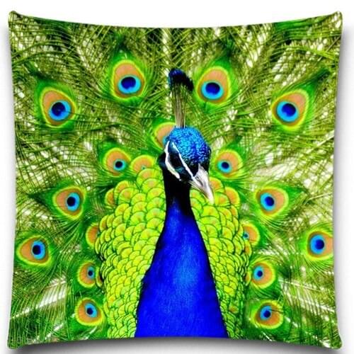 Beautiful Peacock with a tail 2D print creative Pillow case Square cotton polyester cushion cover 5 size 9 style