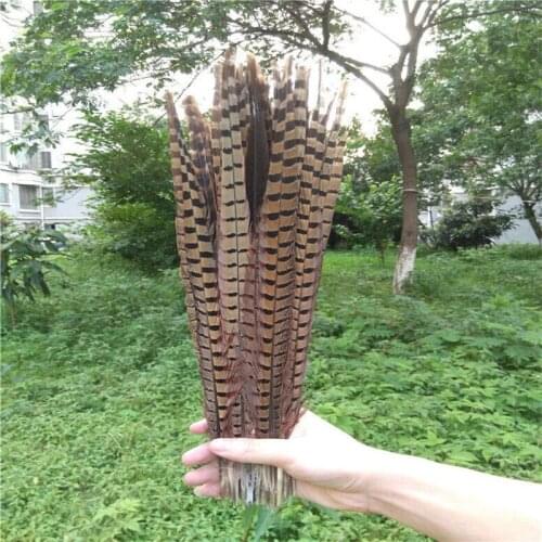Wholesale, 500pcs natural pheasant tail feathers of 40 -45 cm /16-18inch
