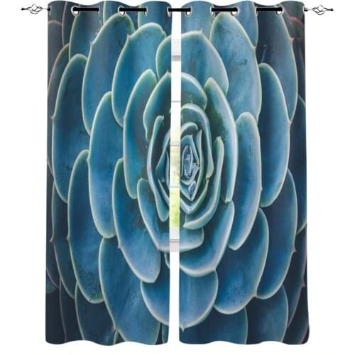 Modern Curtains for Living Room Cactus Succulent Green Blue Bedroom Kitchen Curtain Home Decoration Window Drapes