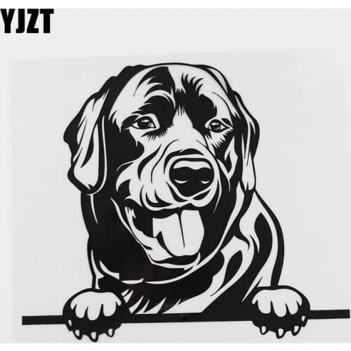 YJZT 17.5CMX14.9CM Labrador Dog Decal Canine Peeking Vinyl Car Sticker Black/Silver 8A-0072