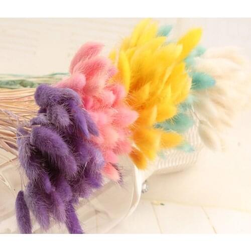 30Pcs/lot Gradient Lagurus Ovatus Natural Dried Flowers Bouquet Wedding Home Easter Decorations Rabbit Tail Grass Real Flowers
