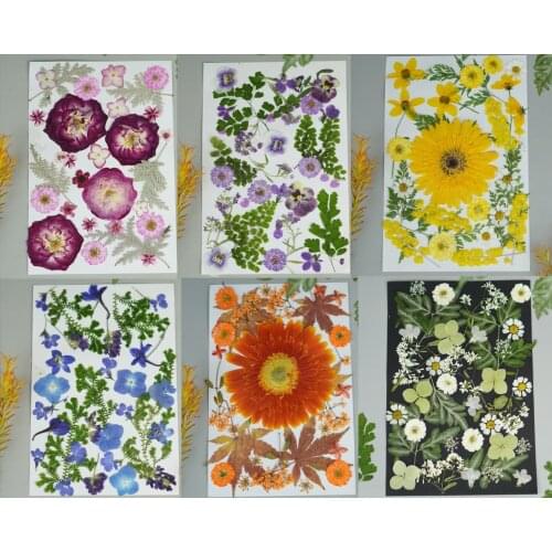 1Set Mixed Pressed Dried Leaves Flower Plant For Nail Art Make Up Bookmark Prop Jewelry Postcard Invitation Card Phone Case DIY