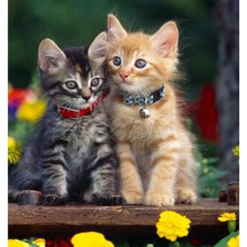 5D DIY Diamond Painting Animal Picture Two Kittens Beautiful Scenery Picture Square/Round Diamond Cross Stitch Decoration WG3032