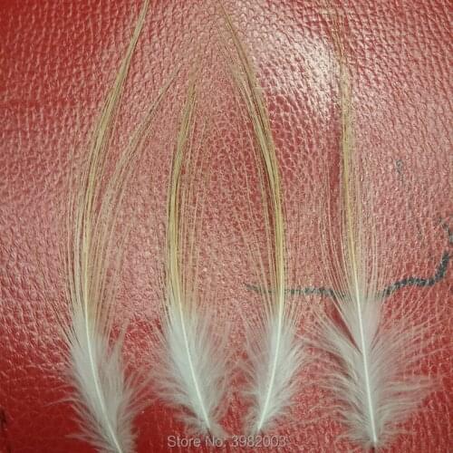 Wholesale high quality 10pcs rare natural egret feather silk 10-20cm/4-8 inch collected decorative accessories