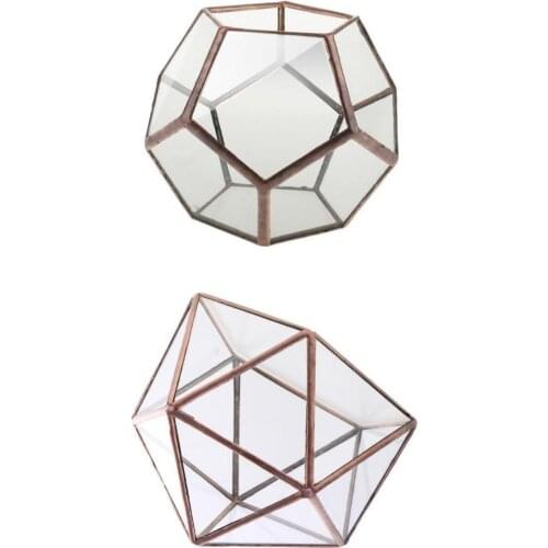 2 Pieces Different Kinds of Modern Glass Geometric Terrarium Box Tabletop Succulent Plant Planter