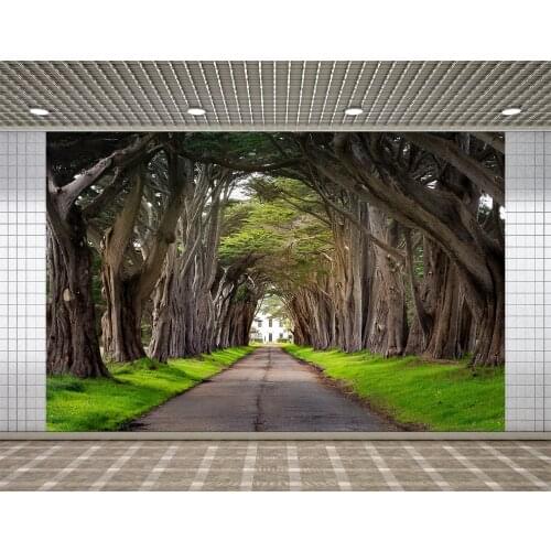 Lyavshi Spring Thick tree Pathway grass Scenic Photography Backgrounds Photographic Backdrops For Photo Studio