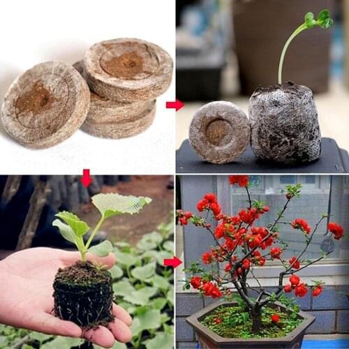 5/20/100pcs 30mm Jiffy Peat Pellets Seedling Soil Block Maker Starting Plugs Seeds Starter Professional For Garden