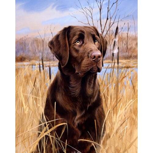 5D Diy Diamond Painting Dog Grass Black Dog DIY 3D Diamond Embroidery Pokemon Home Decoration Mosaic A Picture Of Rhinestones