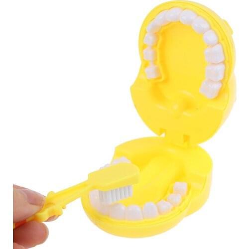 Giraffe Teeth Brush Demo Teaching Model Kids Earlier Education Brushing Toys
