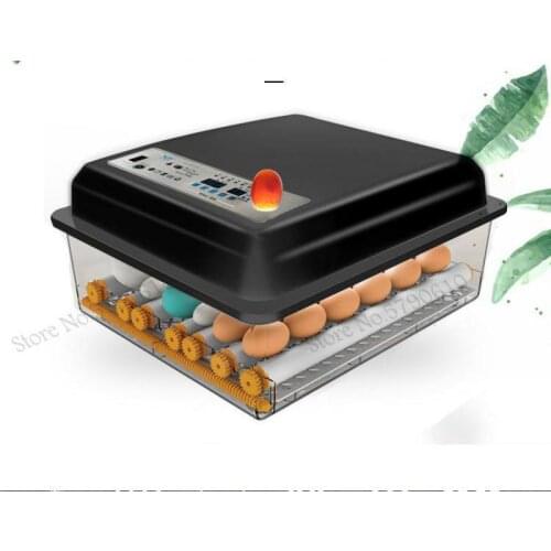 Chicken, Duck And Goose Incubator Small Home Full-automatic Intelligent Incubator Water Bed Mini Full-automatic Incubator