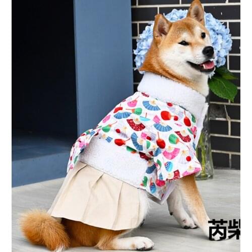 New Pet Dog Clothes For Small Dogs Cartoon Warm Dog Clothing Puppy Cat Sweatshirt Teddy Bulldog Chihuahua Costume Coat