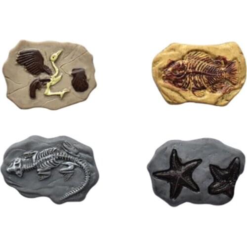 Julie Wang 10PCS Resin Artificial Fossil Charms Random Mixed Dinosaur Fish Archaeopteryx Jewelry Making Accessory Home Decor