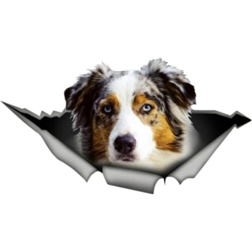 PLAY COOL Car Sticker 3D Styling Australian Shepherd Torn Metal Wanted Automobiles Exterior Accessories Vinyl Decals,13cm*7cm