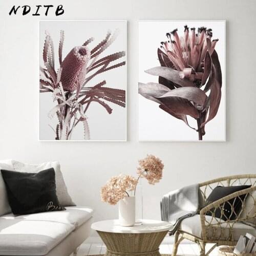 Protea Flower Nordic Art Poster Floral Canvas Print Scandinavian Decoration Painting Botanical Wall Picture Living Room Decor