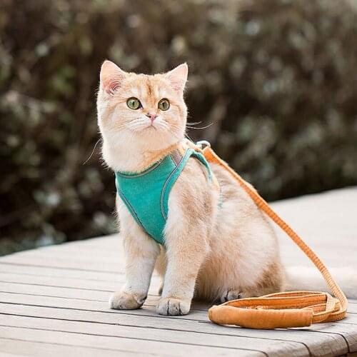 Pet Harness Leash Set Reflective Vest Adjustable Harness For Puppies Kittens Outdoor Walking Lead Leash Chest Strap Pet Supplies