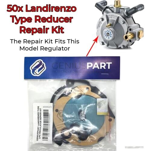 50x Landi Landirenzo LPG CNG GPL Reducer Repair Kit Landirenzo Vaporizer Diaphragm Seal Set