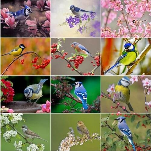 Bird Beautiful Nature 5D Diy Full Square and Round Diamond Painting Embroidery Cross Stitch Kit Wall Art Pet Store Home Decor