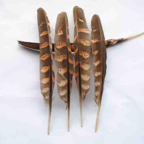 Plume decoration! 100Pcs/Lot 6-8inches 15-20CM Natural REEVES PHEASANT WING FEATHERS,Loose Reeves Pheasant Quill Feathers