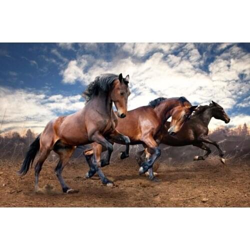 Horse galloping The wooden puzzle 1000 pieces ersion jigsaw puzzle white card adult childrens educational toys