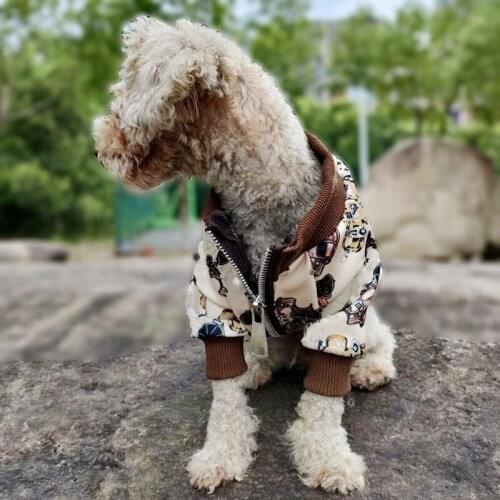 Luxury Dog Hoodie Graffiti Pet Dog Clothes For Dogs Coat Jacket Cotton Ropa Perro French Bulldog Clothing For Dogs Pets Clothing