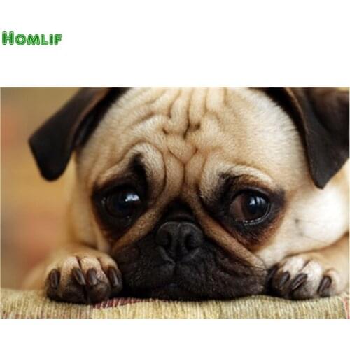 Diy animal diamond painting cross stitch diamond embroidery dog full square&round diamonds mosaic pictures Mosaic embroidered