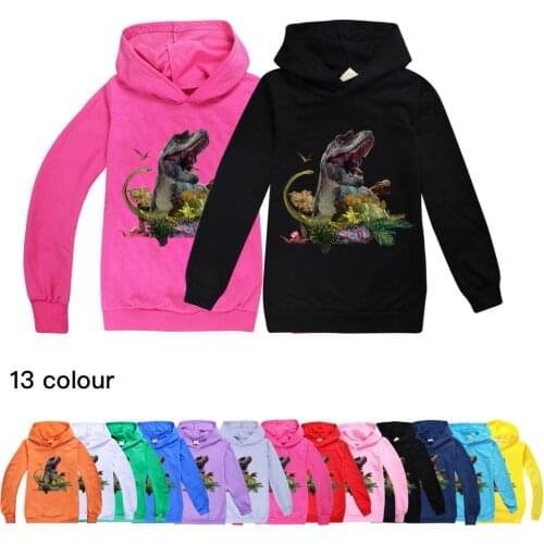 13 colour Boys Long Sleeve T-Shirt Cartoon Hooded Dinosaur Print Children Clothes Cotton Baby Girls Tops Tee Kids Sweatshirt New