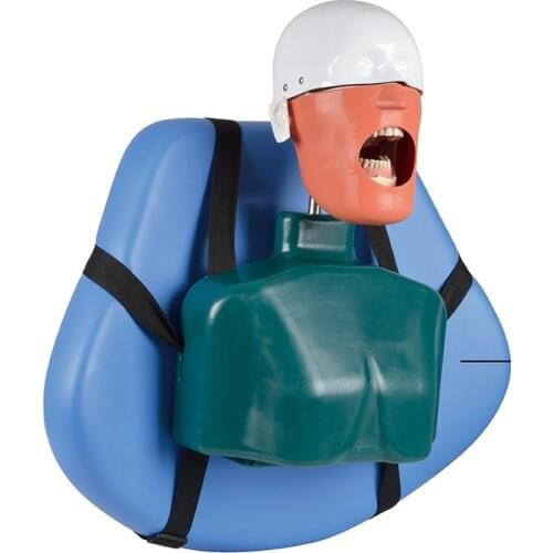 Cheap Dental Simulation Head Model Dental Implant Model Dentistry Manikins Phantom Head Sennior Dental Training Model