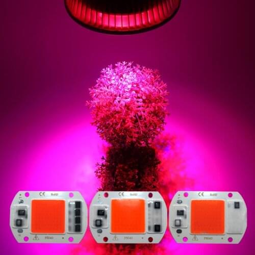100pcs Led Grow Light Cob Chip 20W 30W 50W Full Spectrum FOR Plant flower vegetables fruit led Greenhouse plant Grow Light Part
