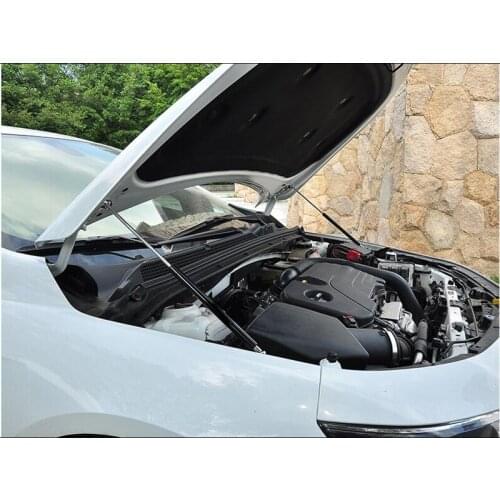Bunsou Gas Stops For The Hood And Trunk