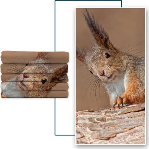 Microfine Factory Direct Sale Quick-Drying Beach Towel for Adult and Children Travelling Swimming