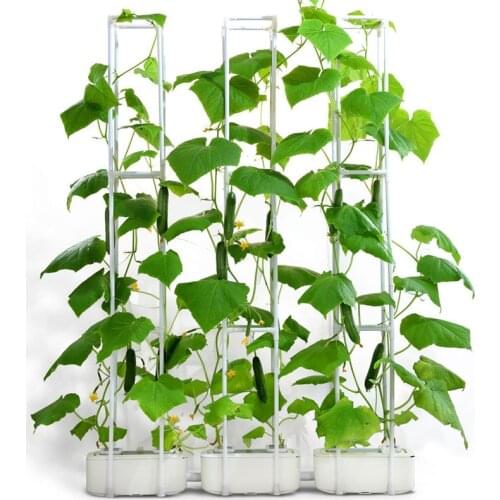 Family Hydroponics Grow System with Smart Controller Auto Remind Self-Watering Planter 60" Climbing Trellis for Vegetables