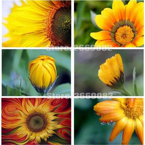 5D Diamond Painting Sunflower Full Kits DIY Handicraft Diamond Embroidery Sale Floral Full Square Drill Decor For Home TT1882