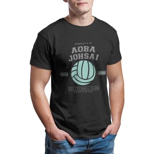 Team Aoba Johsai Casual T Shirt Hot Sale Haikyuu Tee Shirt 100% Cotton O Neck T-shirts