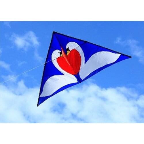 Swans Love Kite