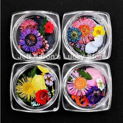 4 pots fresh nails natural dried flowers for uv gel nail art uv gel tips decoration nail supplies tool