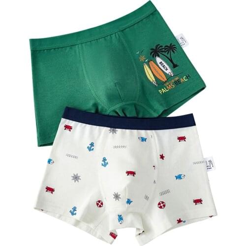 2Pcs Lot Palms Beach Designs Boys Underwear Bottoms Kids Shorts Childrens Boxer Green Color Cotton ZL8907