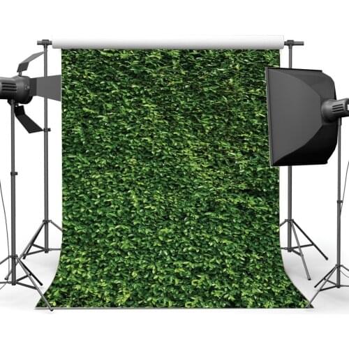 Spring Backdrop Green Grass Meadow Leaves Nature Outdoor Picnic and Hiking Photography Background