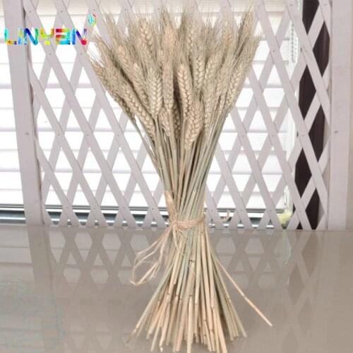 50 pieces Real Crude dried flower ear of wheat decor wedding decorations Artificial flower natural plants Camera christmas t49
