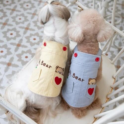 Autumn/winter Pet Warm Clothes, Printed Suspenders, Kittens and Puppies, Teddy Clothes, Dog Jumpsuits Luxury Dog