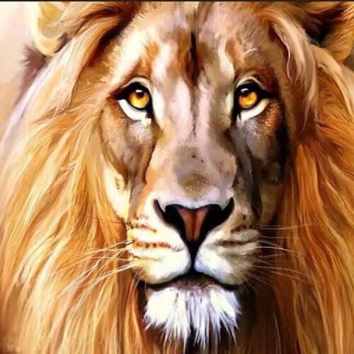 OAOMOE Home And Garden Products