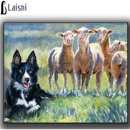 Full square round diamond painting Graffiti border collie sheepdog sheep painting art diamond embroidery dog diy diamond mosaic