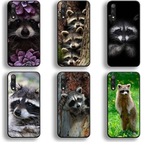 Animal Raccoon Phone Case For Huawei Honor 30 20 10 9 8 8x 8c v30 Lite view 7A pro